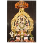 Lord Narashima Deity Photo